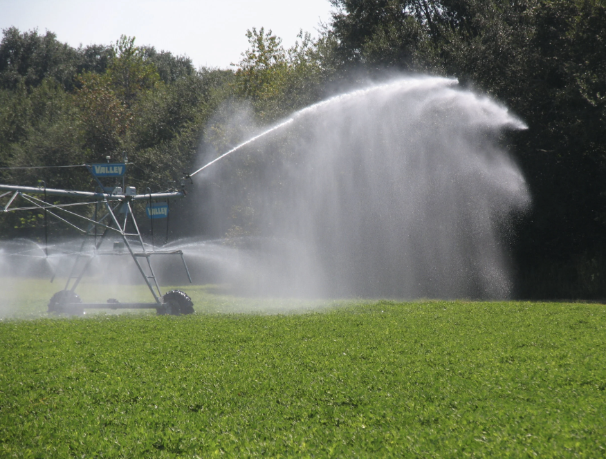 End Gun (опция)