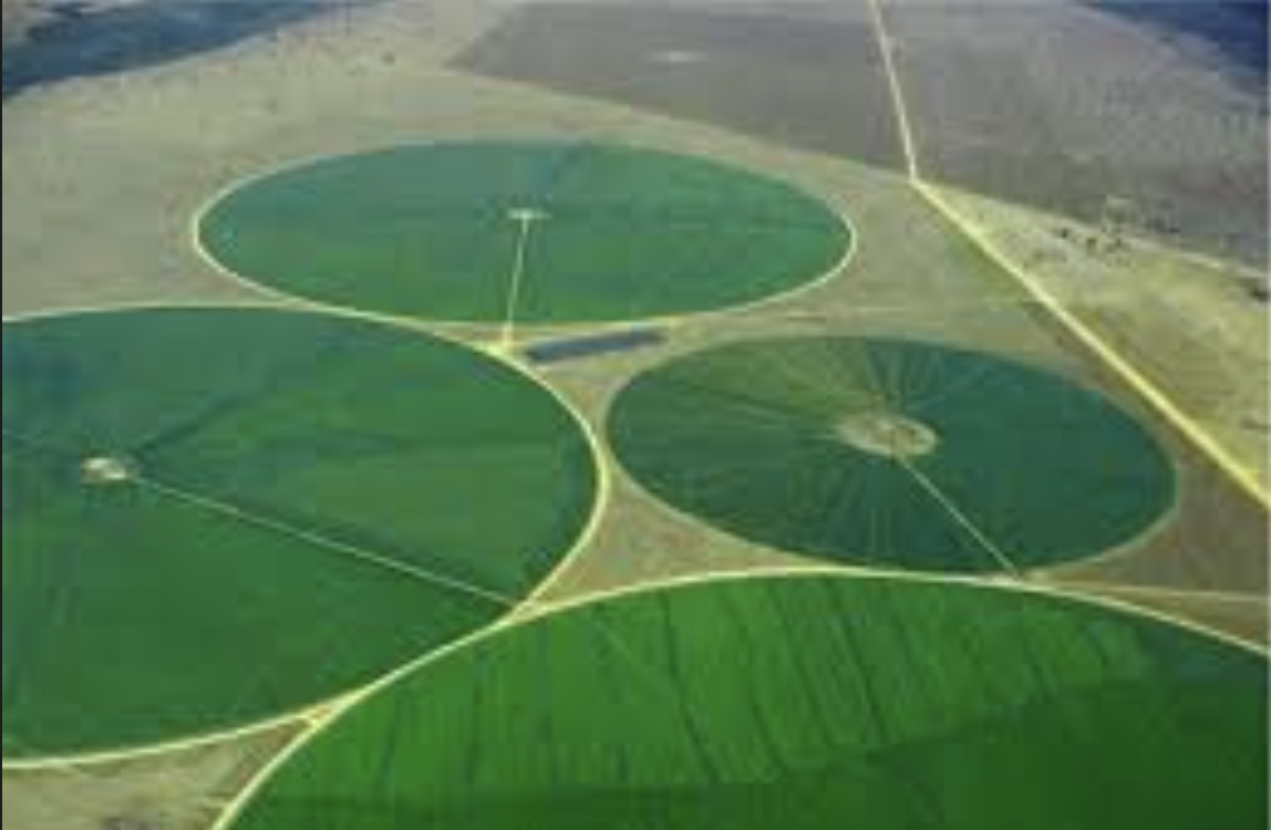 Center Pivot в поле